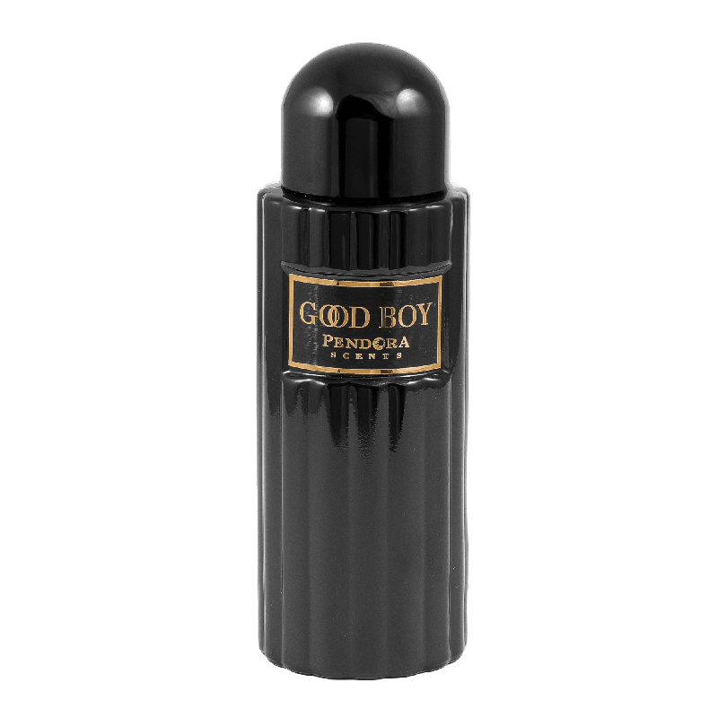 PENDORA SCENT Good Boy Paris agua perfumada para hombre 100ml - Royalsperfume PENDORA SCENT Perfume