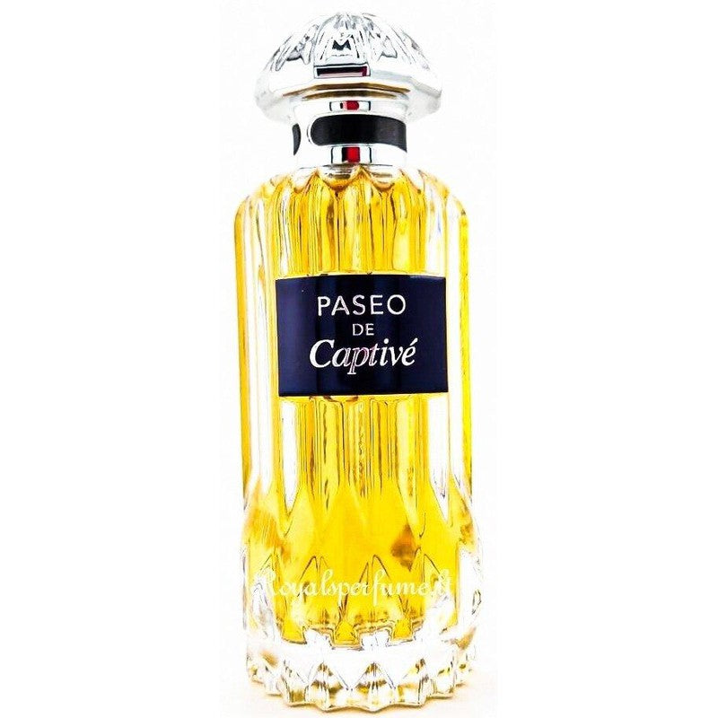 PENDORA SCENTS Paseo De Captive парфюмированная вода для мужчин 100мл - Royalsperfume PENDORA SCENT Все